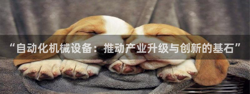 琳琅QQ娱乐机器人