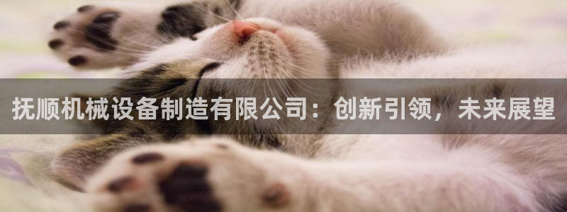 青娱娱乐琳琅导航