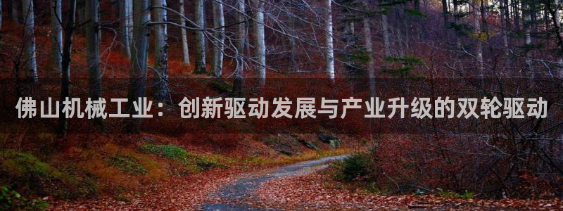 琳琅娱乐工作室怎么样