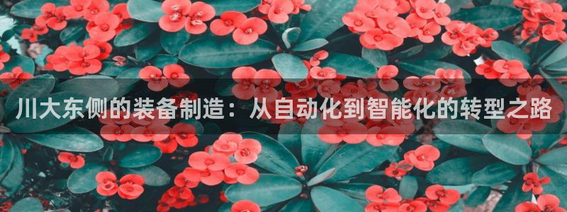 琳琅科技娱乐机器人下载
