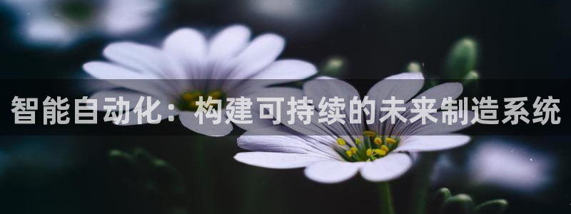 琳琅科技娱乐机器人