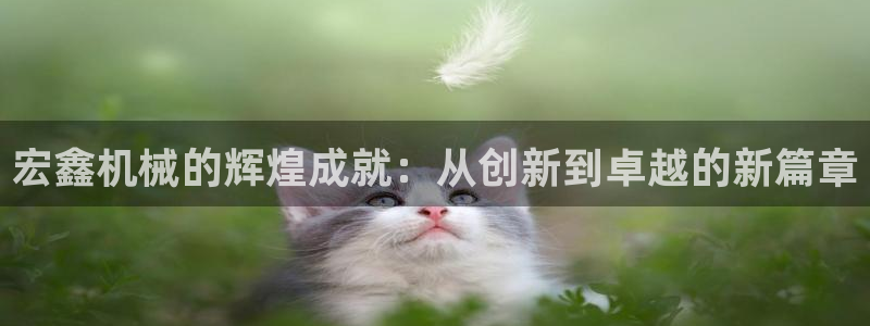 琳琅偏爱娱乐