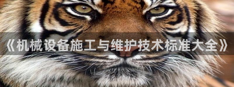 琅琳琅娱乐社区