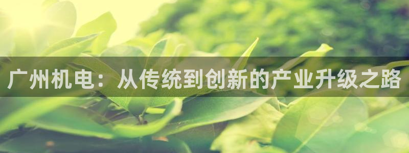 琳琅娱乐m