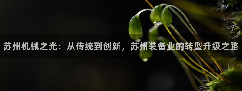 琳琅科技qq娱乐机器人