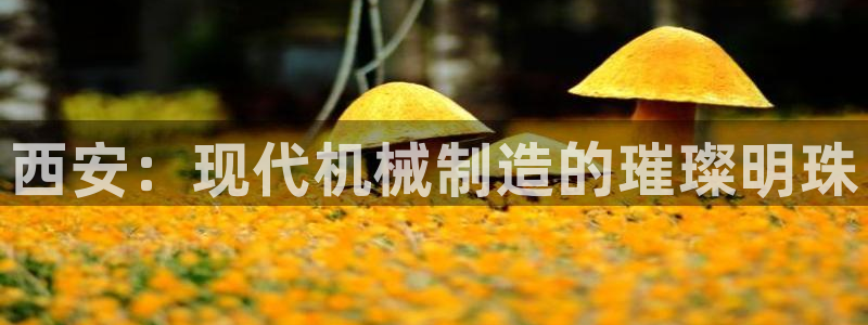 琳琅娱乐平台怎么样