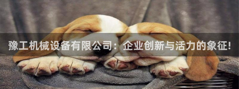 青娱娱乐琳琅导航