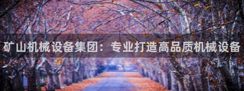 琳琅科技娱乐机器人