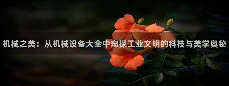琳琅娱乐成年女人视频