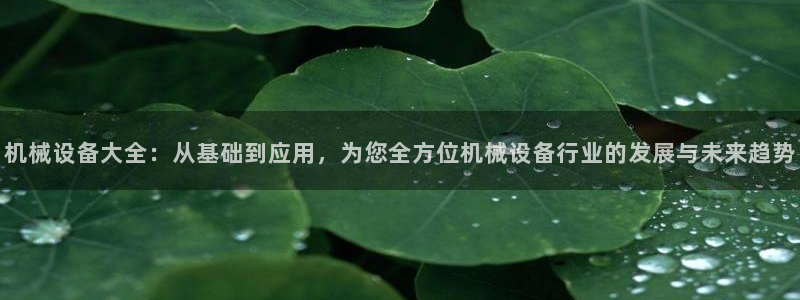 祖龙娱乐官网爱在琳琅