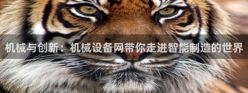 琳琅谈娱乐