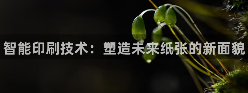 琳琅娱乐开户