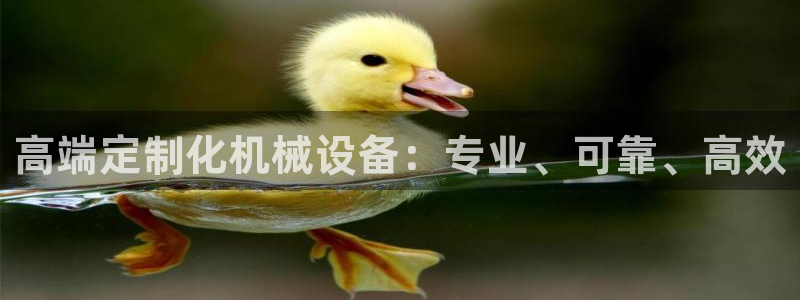 琳琅娱乐组飞车
