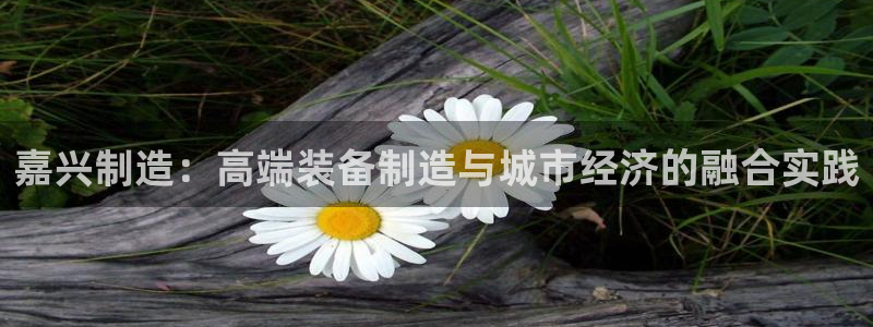 琳琅天上qq飞车娱乐