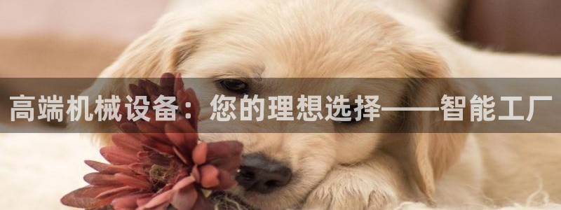琳琅娱乐足球