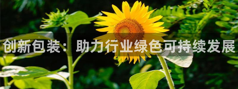 琳琅娱乐主管是谁