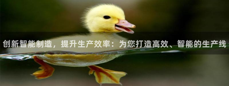 娱乐从琳琅榜开始的小说
