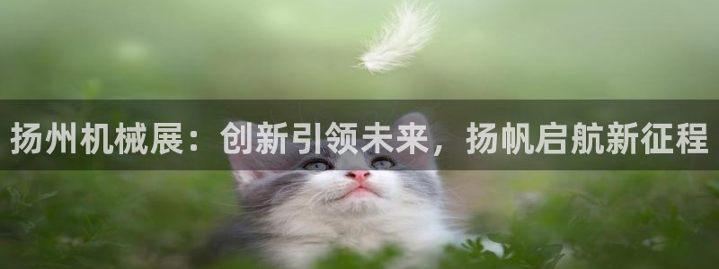琳琅娱乐平台是真的吗