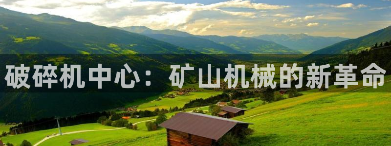 琳琅娱乐 全麦优质