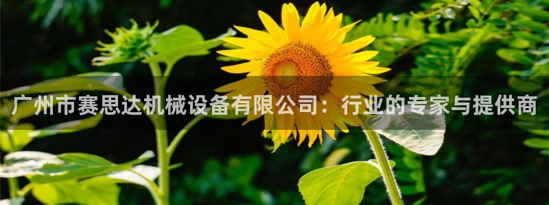 琳琅聊娱乐