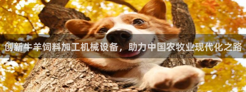 琳琅娱乐平台怎么样可靠吗