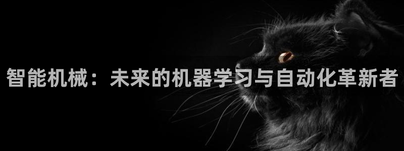 琳琅科技娱乐机器