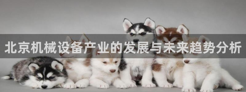 琳琅娱乐平台登陆