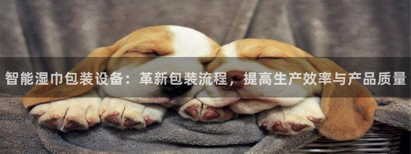 琳琅社区综艺文化娱乐