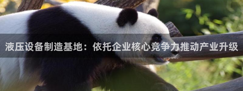 琳琅天上qq飞车娱乐