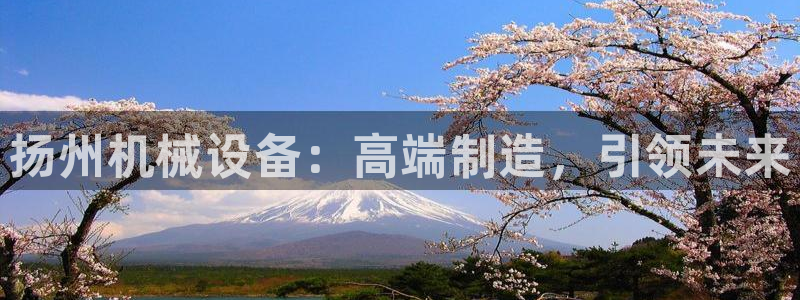 琳琅娱乐组飞车