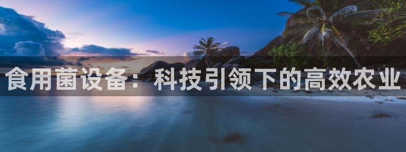 娱乐从琳琅榜开始的小说