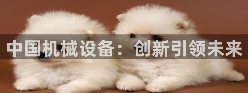 琳琅娱乐 全麦优质