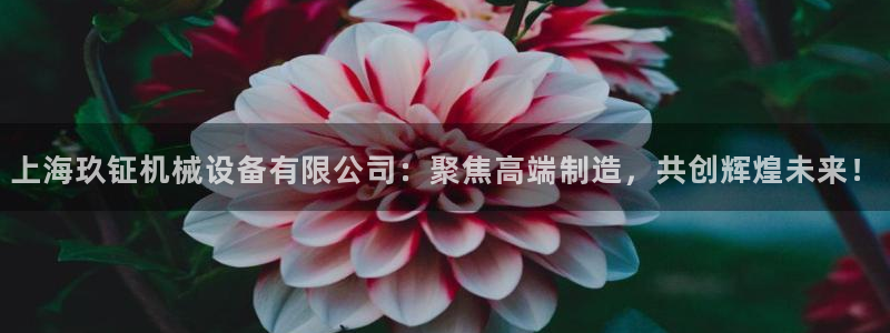 琳琅娱乐组飞车