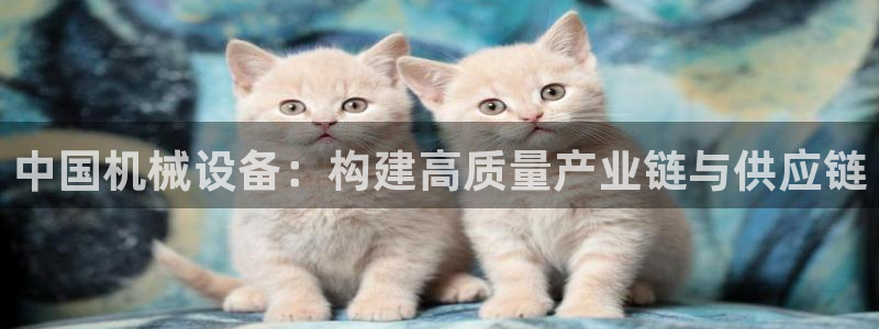 琳琅科技娱乐机器人插件