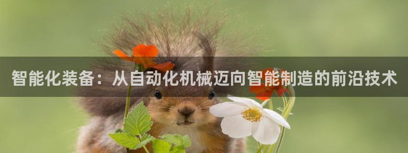 杭州琳琅互动娱乐