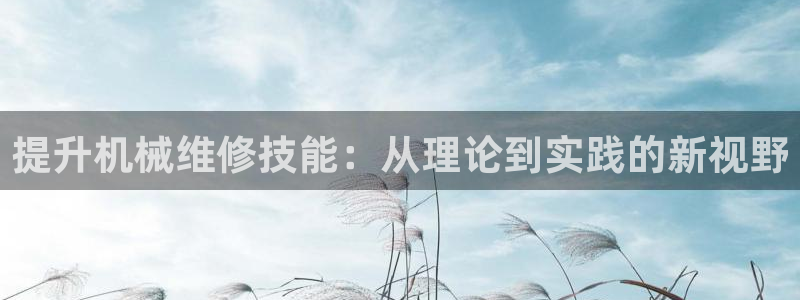 琳琅满目的娱乐设施