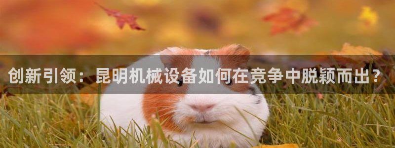 琳琅国际娱乐会所地址