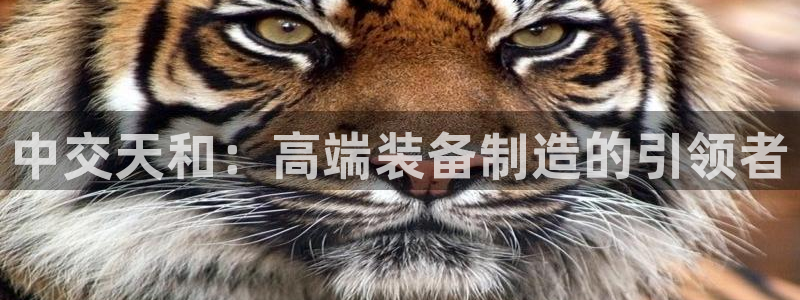 琳琅科技娱乐机器人教程