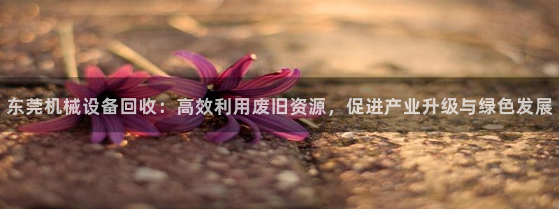 琳琅社区综艺文化娱乐